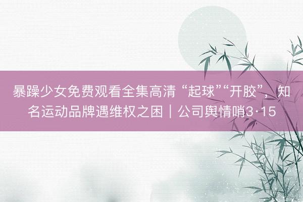 暴躁少女免费观看全集高清 “起球”“开胶”，知名运动品牌遇维权之困｜公司舆情哨3·15