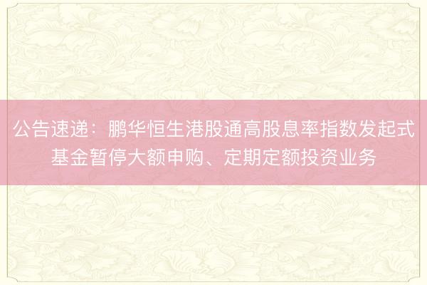 公告速递：鹏华恒生港股通高股息率指数发起式基金暂停大额申购、定期定额投资业务