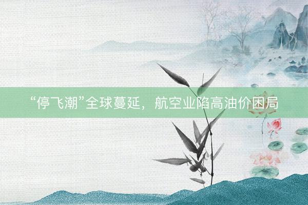 “停飞潮”全球蔓延，航空业陷高油价困局