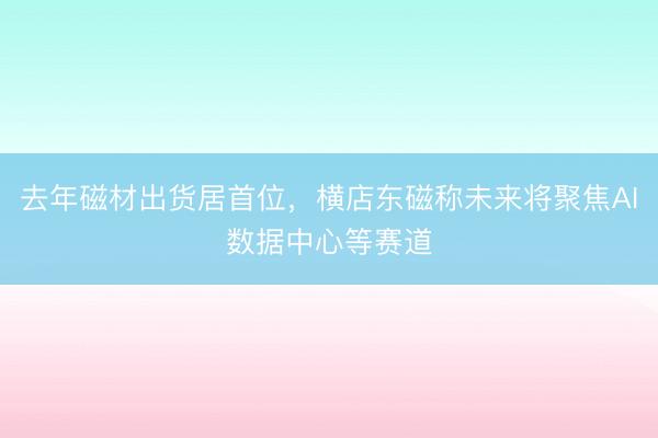 去年磁材出货居首位，横店东磁称未来将聚焦AI数据中心等赛道