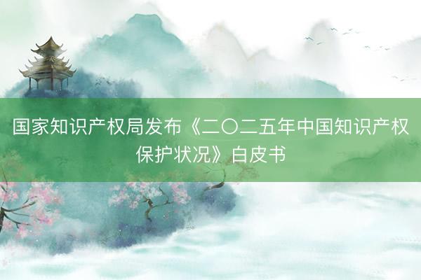 国家知识产权局发布《二〇二五年中国知识产权保护状况》白皮书