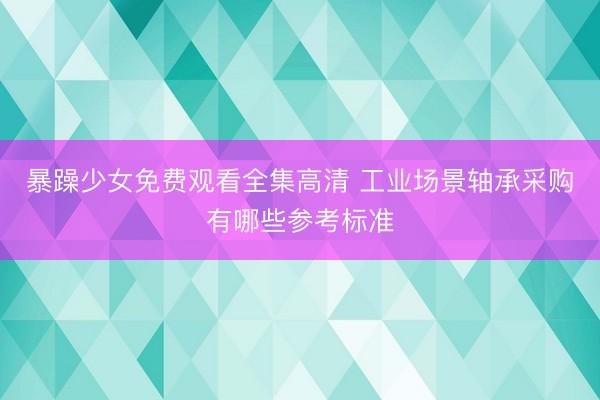 暴躁少女免费观看全集高清 工业场景轴承采购有哪些参考标准