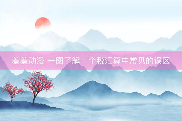 羞羞动漫 一图了解：个税汇算中常见的误区