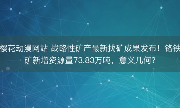 樱花动漫网站 战略性矿产最新找矿成果发布！铬铁矿新增资源量73.83万吨，意义几何？
