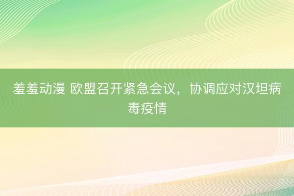羞羞动漫 欧盟召开紧急会议，协调应对汉坦病毒疫情