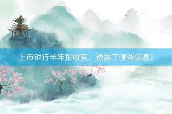 上市银行半年报收官，透露了哪些信息？