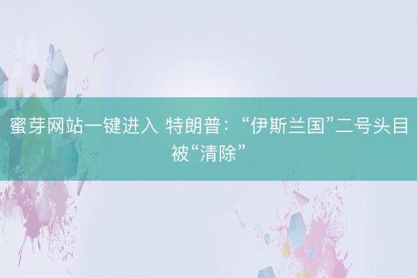 蜜芽网站一键进入 特朗普：“伊斯兰国”二号头目被“清除”