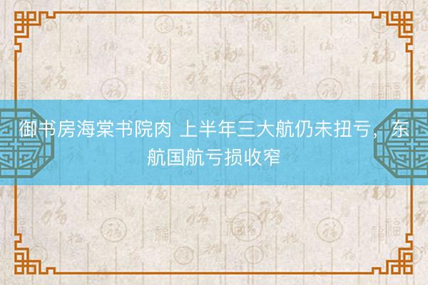御书房海棠书院肉 上半年三大航仍未扭亏，东航国航亏损收窄