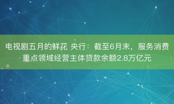 电视剧五月的鲜花 央行：截至6月末，服务消费重点领域经营主体贷款余额2.8万亿元