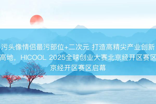 污头像情侣最污部位+二次元 打造高精尖产业创新创业高地,HICOOL 2025全球创业大赛北京经开区赛区启幕