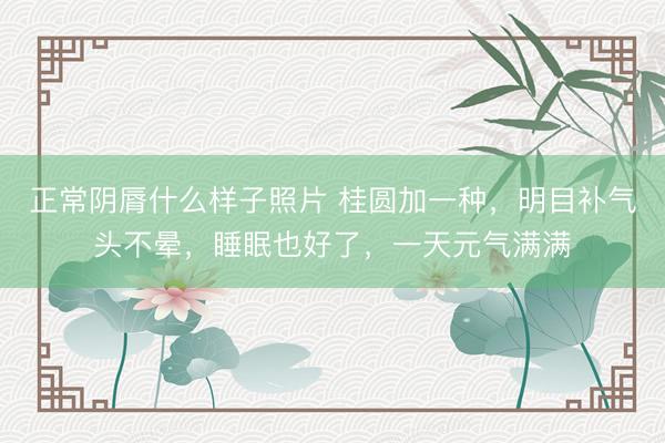 正常阴脣什么样子照片 桂圆加一种，明目补气头不晕，睡眠也好了，一天元气满满