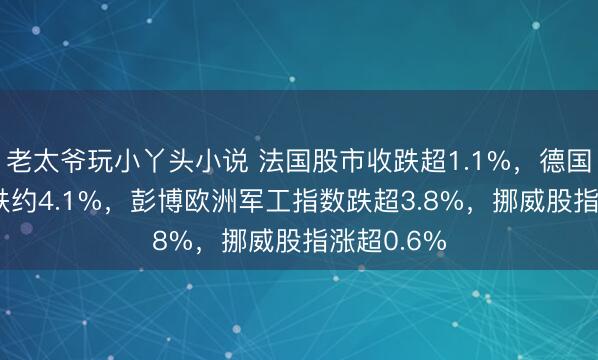 老太爷玩小丫头小说 法国股市收跌超1.1%，德国军工ETF跌约4.1%，彭博欧洲军工指数跌超3.8%，挪威股指涨超0.6%