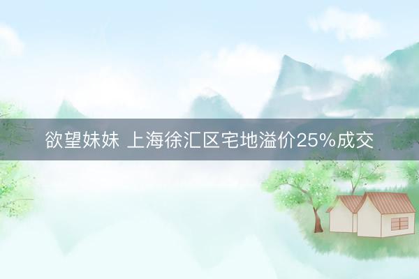 欲望妹妹 上海徐汇区宅地溢价25%成交