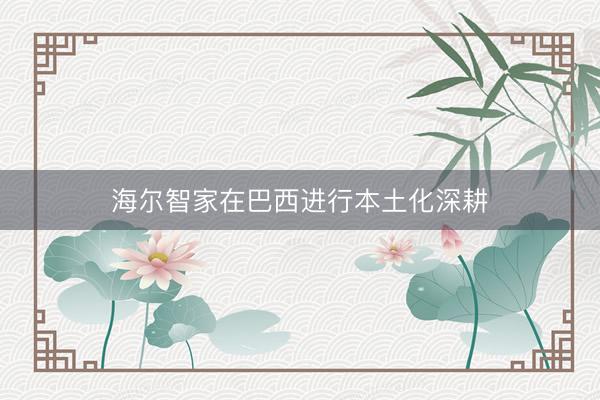 海尔智家在巴西进行本土化深耕