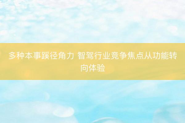 多种本事蹊径角力 智驾行业竞争焦点从功能转向体验