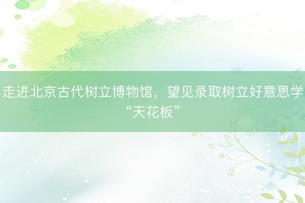 走进北京古代树立博物馆，望见录取树立好意思学“天花板”