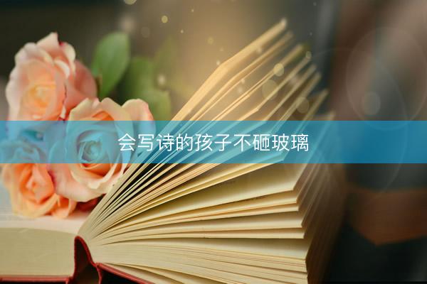 会写诗的孩子不砸玻璃