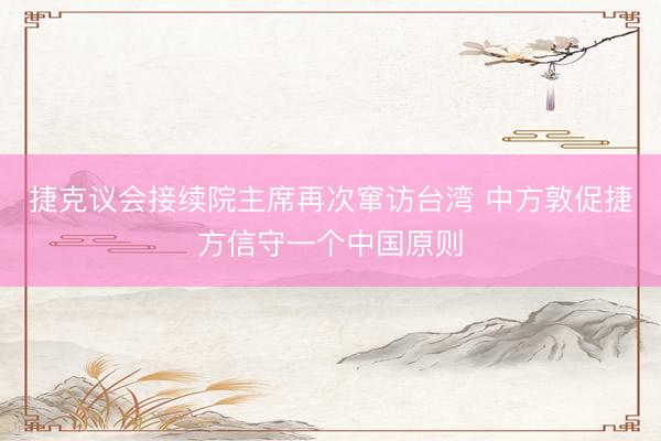 捷克议会接续院主席再次窜访台湾 中方敦促捷方信守一个中国原则