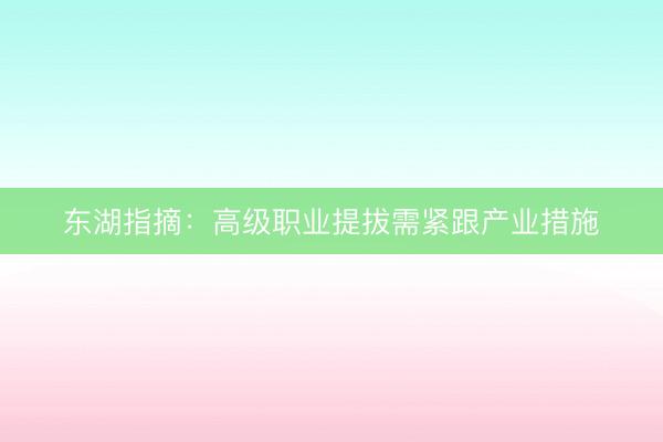 东湖指摘：高级职业提拔需紧跟产业措施
