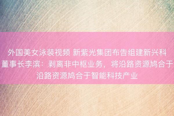 外国美女泳装视频 新紫光集团布告组建新兴科技立异定约，董事长李滨：剥离非中枢业务，将沿路资源鸠合于智能科技产业