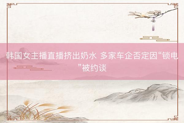 韩国女主播直播挤出奶水 多家车企否定因“锁电”被约谈