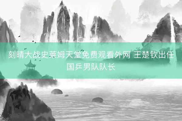 刻晴大战史莱姆天堂免费观看外网 王楚钦出任国乒男队队长