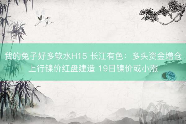 我的兔子好多软水H15 长江有色：多头资金增仓上行镍价红盘建造 19日镍价或小涨