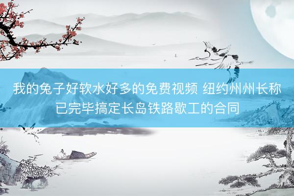 我的兔子好软水好多的免费视频 纽约州州长称已完毕搞定长岛铁路歇工的合同
