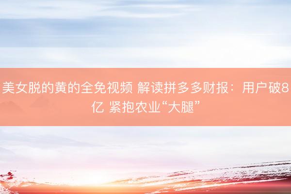 美女脱的黄的全免视频 解读拼多多财报：用户破8亿 紧抱农业“大腿”