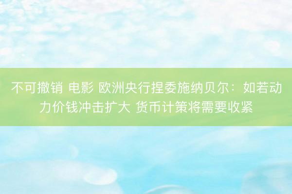 不可撤销 电影 欧洲央行捏委施纳贝尔：如若动力价钱冲击扩大 货币计策将需要收紧