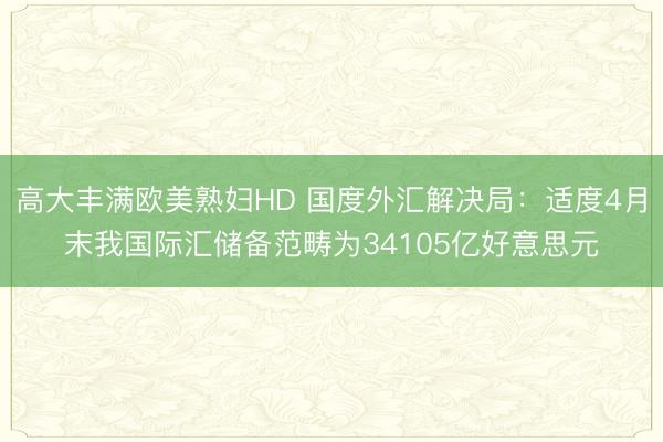 高大丰满欧美熟妇HD 国度外汇解决局：适度4月末我国际汇储备范畴为34105亿好意思元