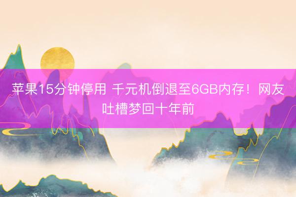 苹果15分钟停用 千元机倒退至6GB内存！网友吐槽梦回十年前