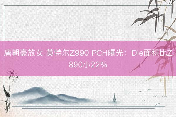唐朝豪放女 英特尔Z990 PCH曝光：Die面积比Z890小22%