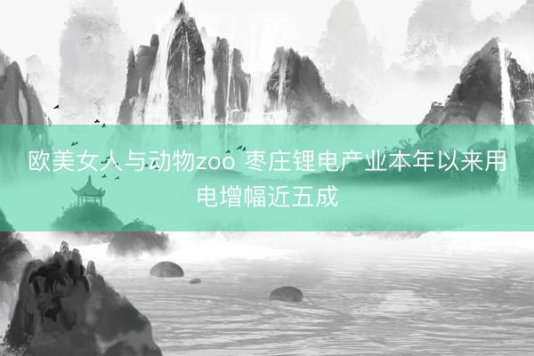 欧美女人与动物zoo 枣庄锂电产业本年以来用电增幅近五成