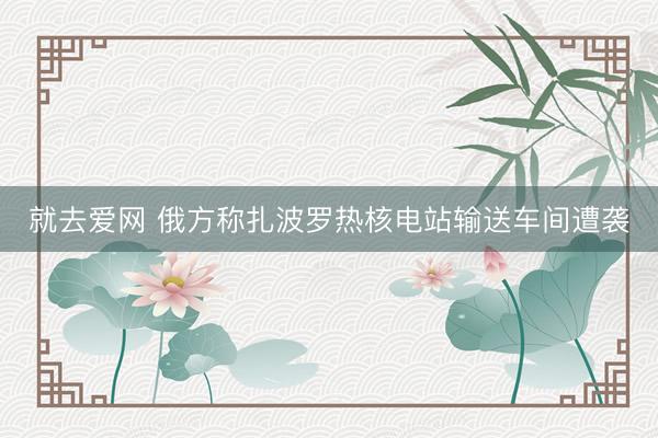 就去爱网 俄方称扎波罗热核电站输送车间遭袭