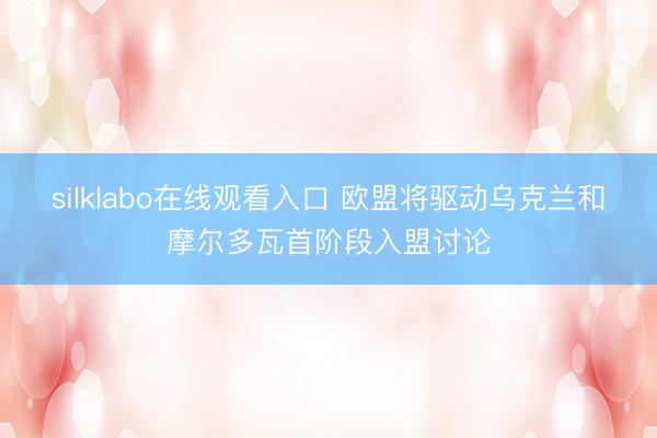 silklabo在线观看入口 欧盟将驱动乌克兰和摩尔多瓦首阶段入盟讨论