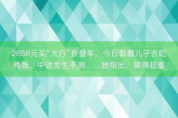 2856元买“大行”折叠车，今日载着儿子去吃晚饭，中途发生不测……她指出，莫得超重