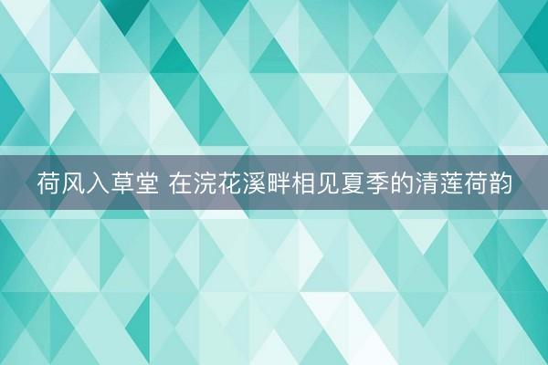 荷风入草堂 在浣花溪畔相见夏季的清莲荷韵