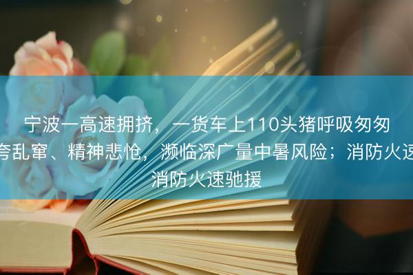 宁波一高速拥挤，一货车上110头猪呼吸匆匆、虚夸乱窜、精神悲怆，濒临深广量中暑风险；消防火速驰援