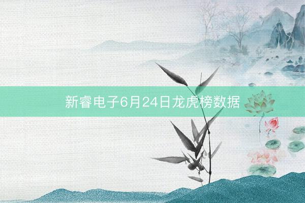 新睿电子6月24日龙虎榜数据